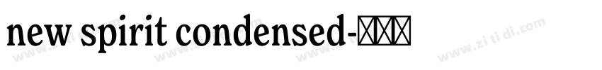 new spirit condensed字体转换 new spirit condensed字体转换